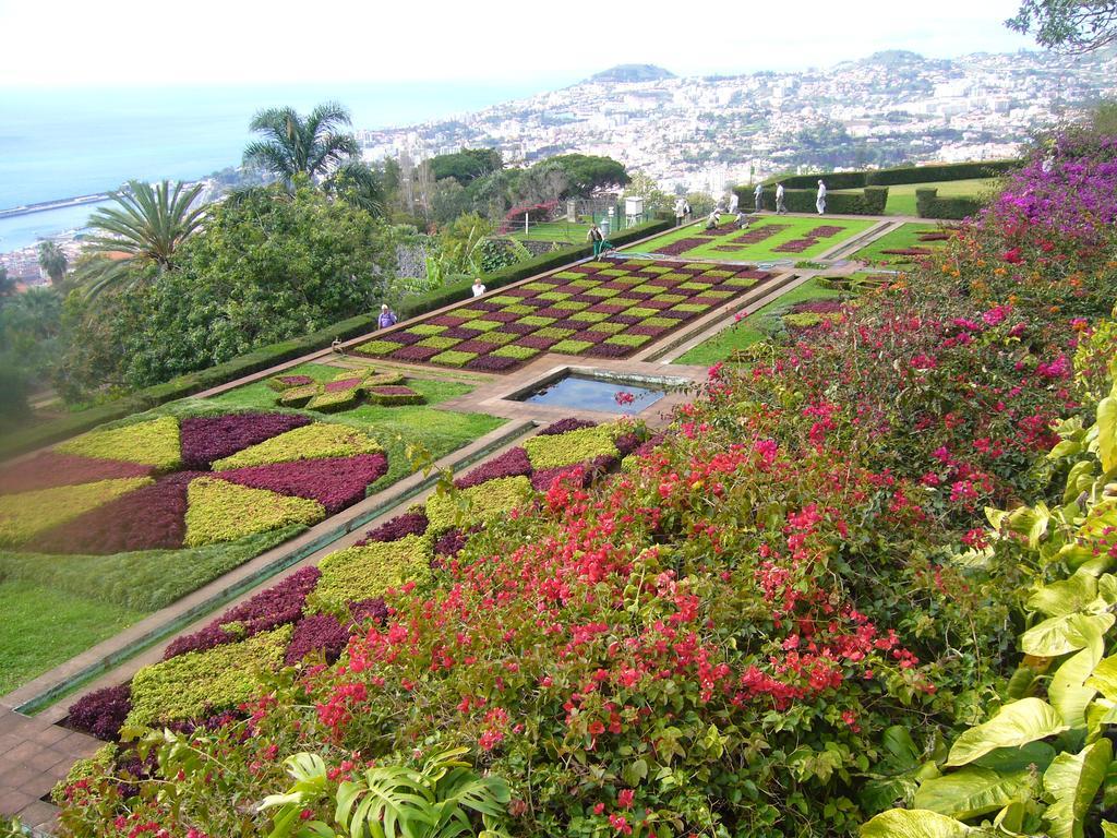 Apartment - The Historical Center Of Funchal In Alojamento Local Exterior photo